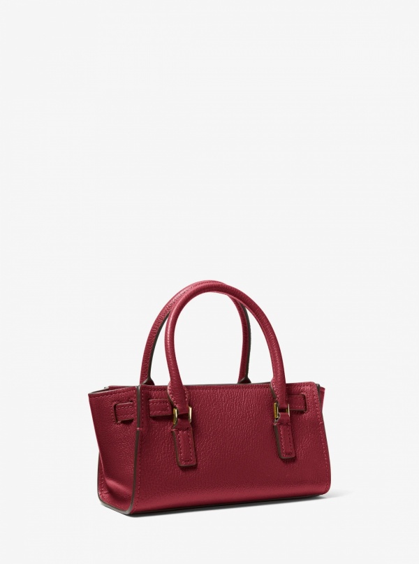 Michael Kors Hamilton Moderne Extra-Small Leather Crossbody Bag