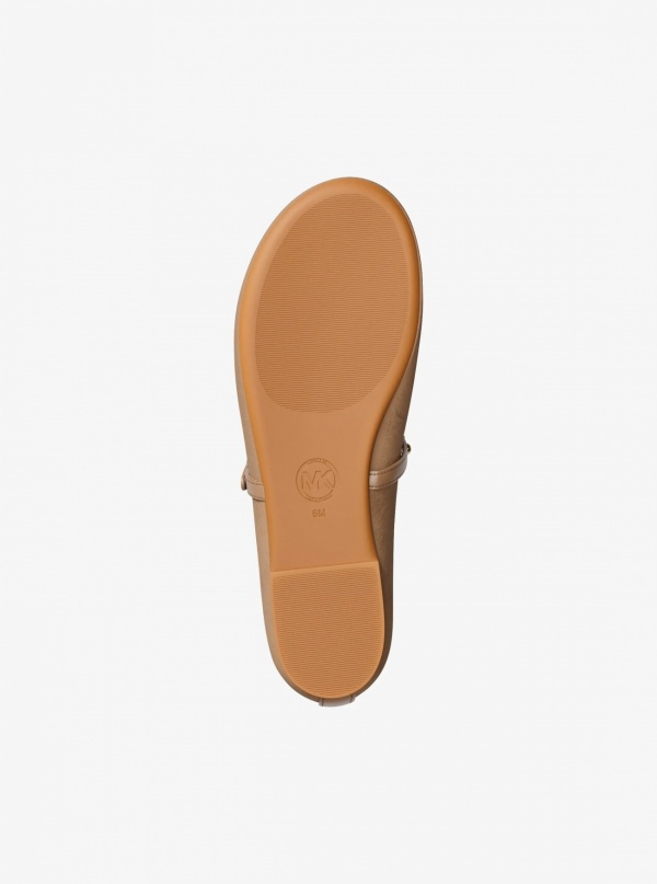 Phoebe Embellished Leather Ballet Flat
