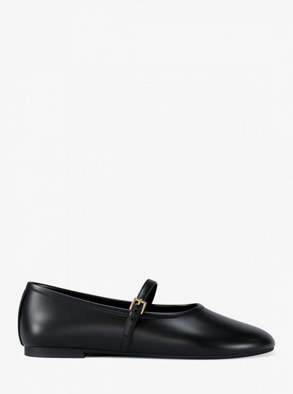 Phoebe Ballet Flat