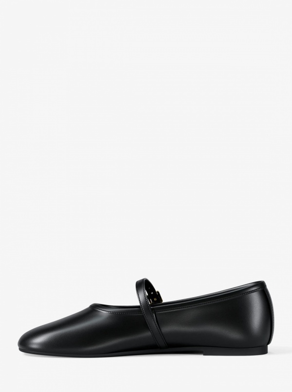 Phoebe Ballet Flat