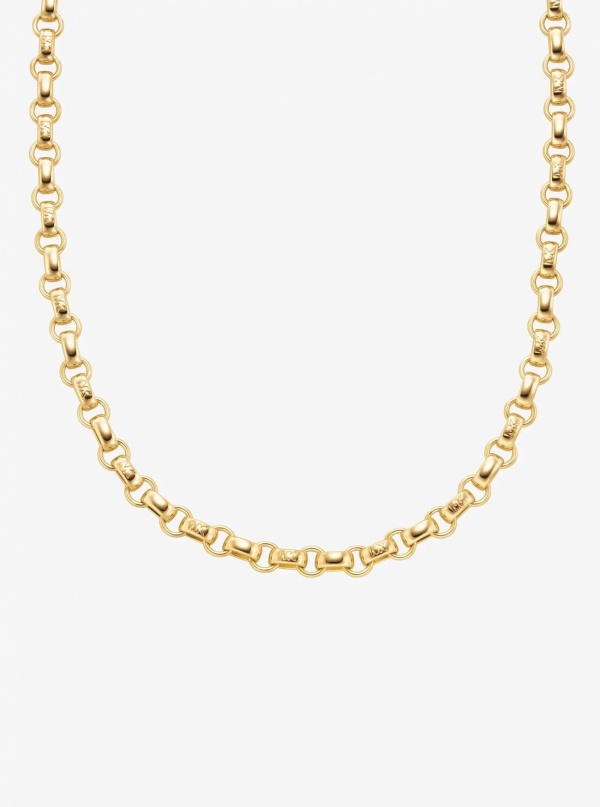 Michael Kors Link Necklace
